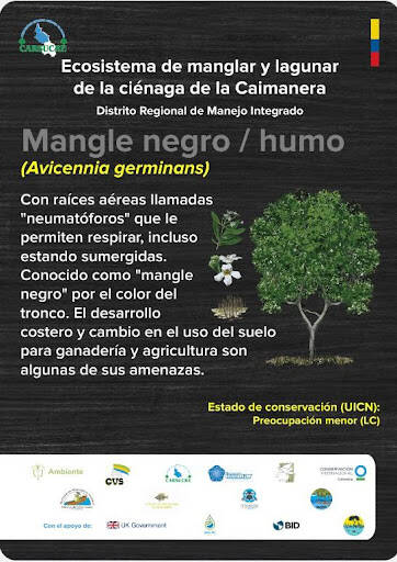 Negocio La Caimanera Pardotourcoveñas