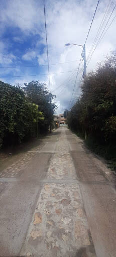 Negocio Mercado Organico Casa De Campo