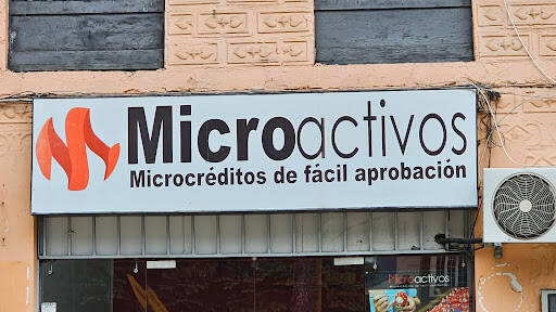 Negocio Microactivos