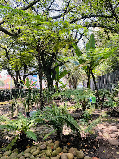 banco Ministry Of Environment And Sustainable Development