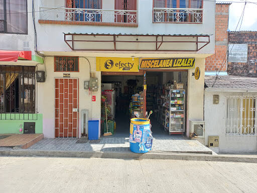 Negocio Miscelanea Lizalex