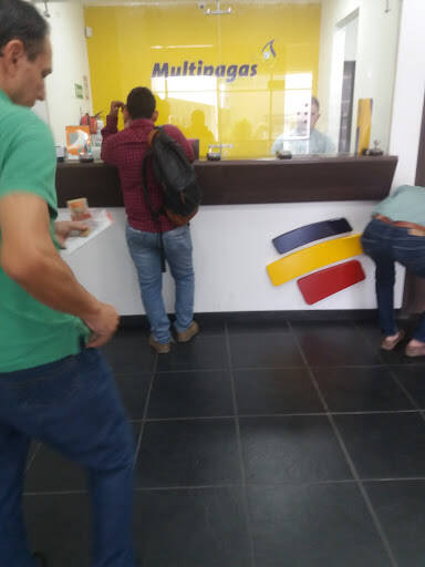 Negocio Multipagas