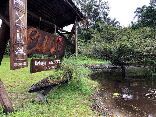 Negocio Naineku Amazon Trip