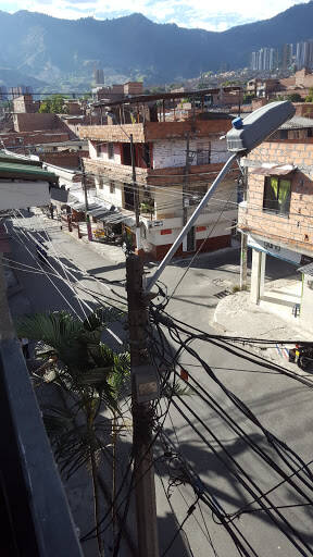 Negocio Pachelly
