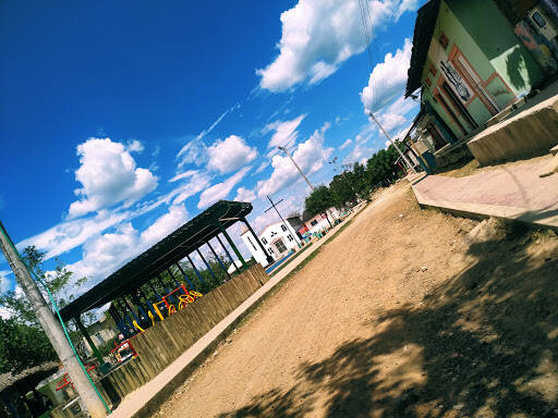 Negocio Paletur