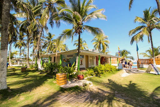 Negocio Palmarito Beach