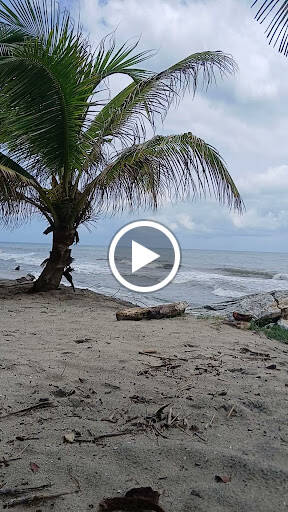 Negocio Palomino Beach