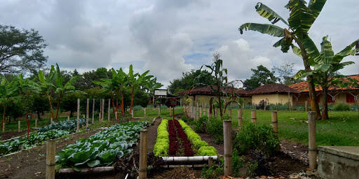 Negocio Panaca Quindío