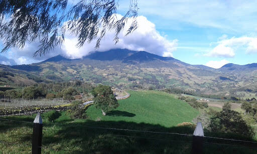 Negocio Páramo De Sonsón