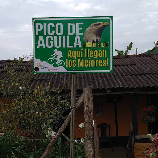 banco Pico De Aguila