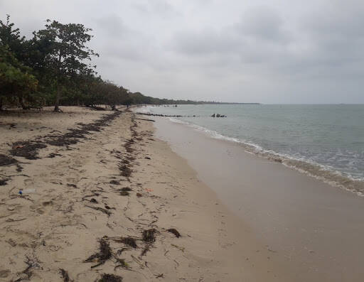 Negocio Playa Balsillas
