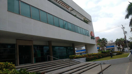 Negocio Porvenir
