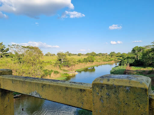 Negocio Puente Betanci