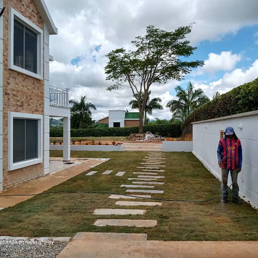 Negocio Sucursal Bancolombia