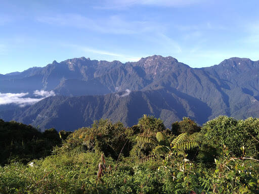 Negocio Tatama National Park