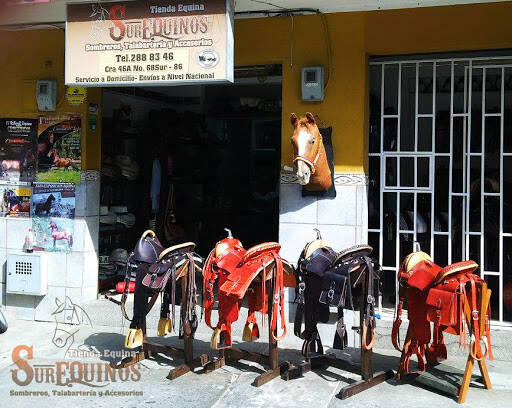 Negocio Tienda Equina Surequinos