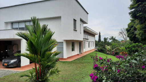 Negocio Tissue Bank