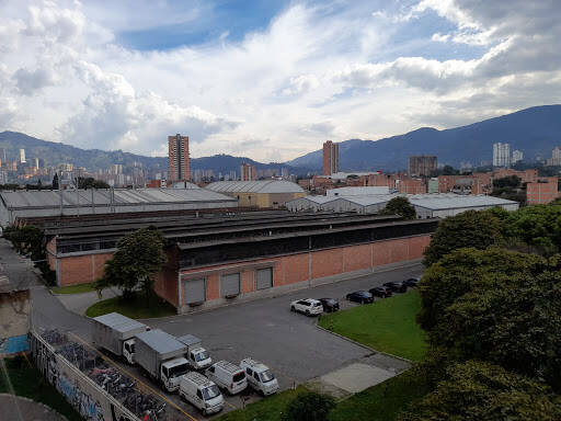 Negocio Tulipanes Del Sur