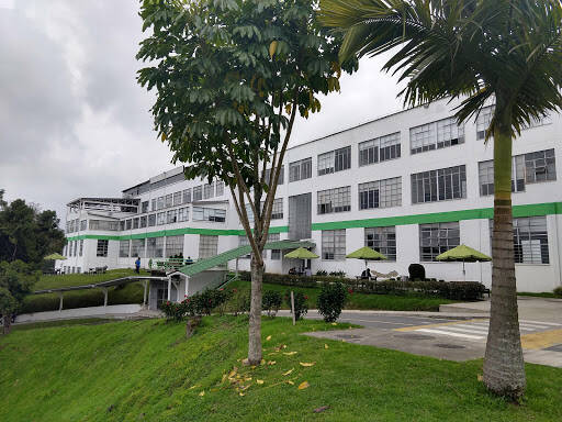 Negocio University Of Manizales