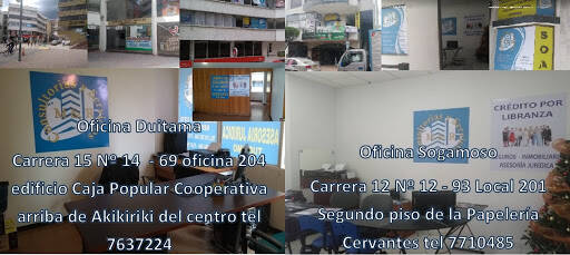Negocio Womfer Grupo Empresarial Y Financiero